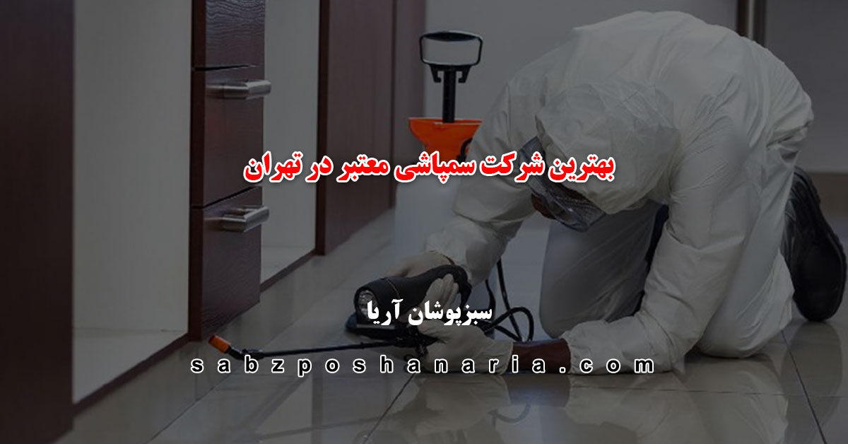 سمپاشی ساس در تهران با هزینه مناسب